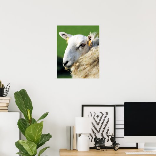 かわいい羊 ポスター (ホームオフィス)