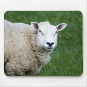 かわいい羊 マウスパッド (正面)
