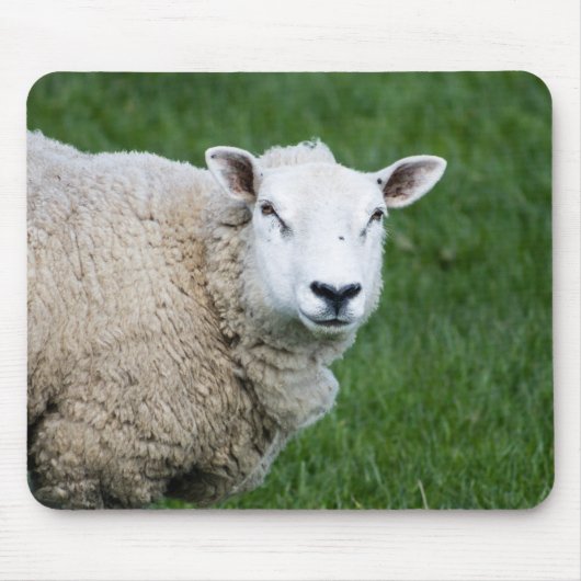 かわいい羊 マウスパッド (正面)