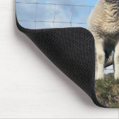 かわいい羊 マウスパッド (コーナー)