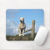 かわいい羊 マウスパッド (マウス)