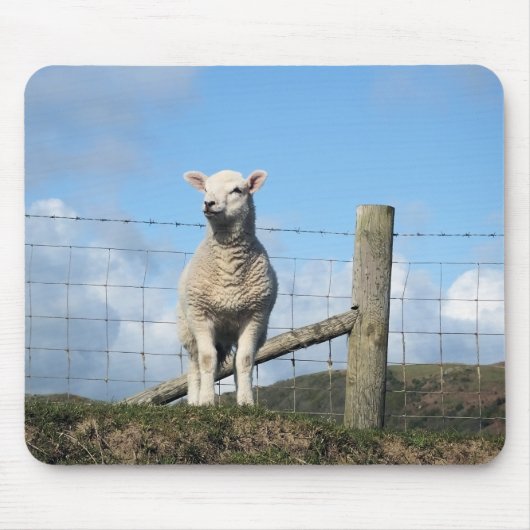 かわいい羊 マウスパッド (正面)