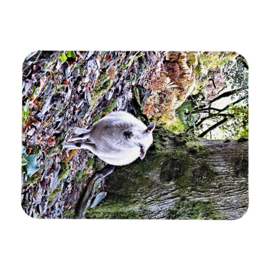 かわいい羊 マグネット (横)