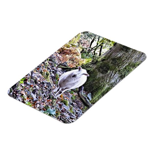 かわいい羊 マグネット (左側)