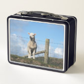 かわいい羊 メタルランチボックス (裏面)