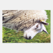 かわいい羊 ラッピングペーパーシート (正面2)