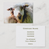 かわいい羊 名刺 (正面/裏面)