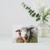 かわいい羊 名刺 (スタンド正面)