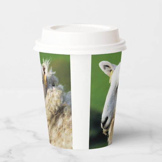 かわいい羊 紙コップ (左)