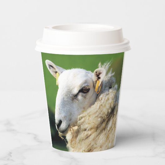 かわいい羊 紙コップ (裏面)