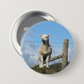 かわいい羊 缶バッジ (正面&裏面)