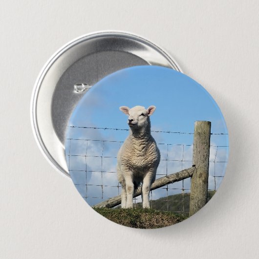 かわいい羊 缶バッジ (正面&裏面)