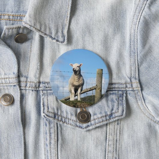 かわいい羊 缶バッジ (インサイチュ)