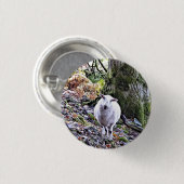 かわいい羊 缶バッジ (正面&裏面)