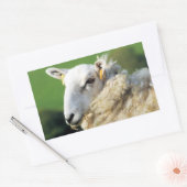 かわいい羊 長方形シール (封筒)