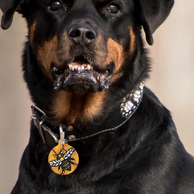 かわいい羽音の黄色いジャケットのミツバチのハニカム ペット　ネームタグ (Cute black and yelow bee on golden honeycomb on pet name tag.)