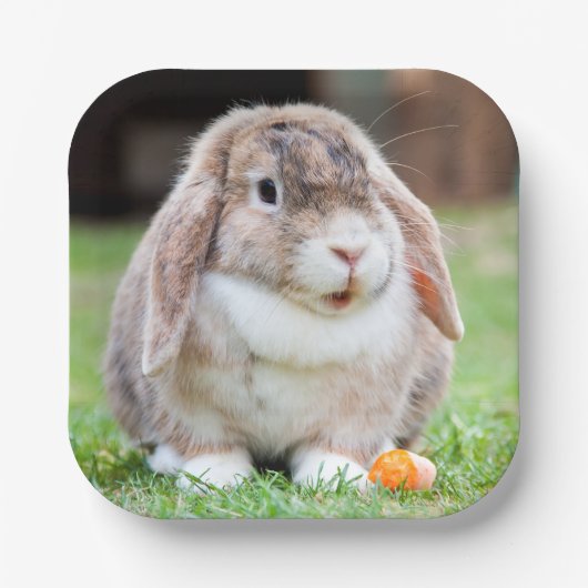 かわいい耳のウサギの紙プレート ペーパープレート (正面)