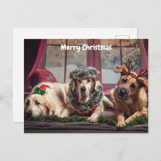 かわいい聖降誕祭のお目出とう シーズンポストカード (正面/裏面)