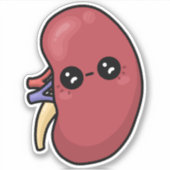 かわいい腎臓 - 人体生物学 シール (正面)