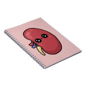 かわいい腎臓 - 人体生物学 ノートブック (右側)