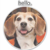 かわいい自分のペットの写真こんにちは シール (正面)