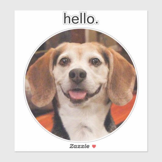 かわいい自分のペットの写真こんにちは シール (シート)