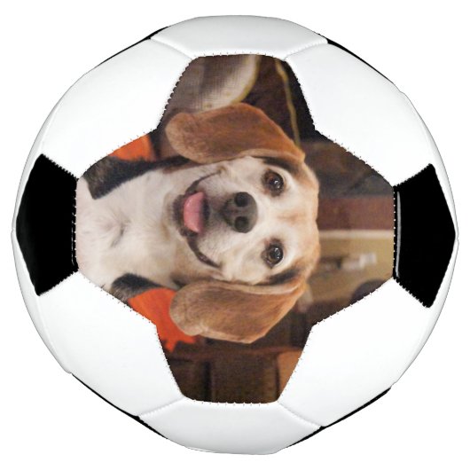 かわいい自分のペットの写真モダンカスタム サッカーボール (回転)