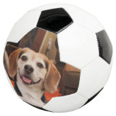 かわいい自分のペットの写真モダンカスタム サッカーボール (3/4)