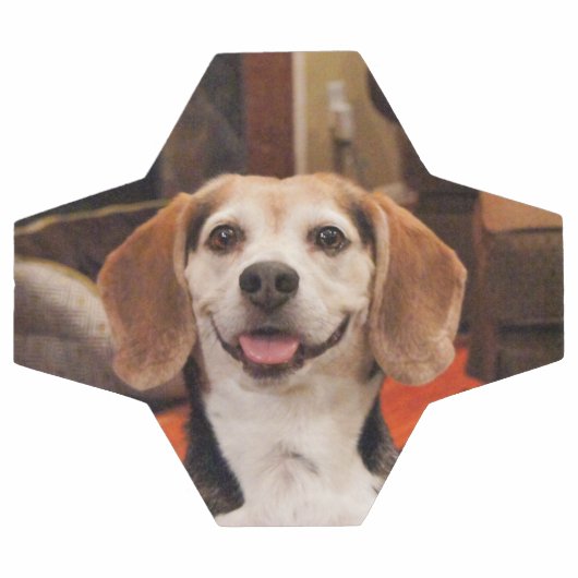 かわいい自分のペットの写真モダンカスタム サッカーボール (フラット)