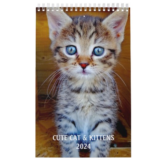 かわいい自分の猫ペットの写真を作成 カレンダー (カバー)