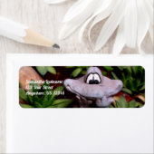 かわいい花の庭のカエル絵画の住所 ラベル (インサイチュ)