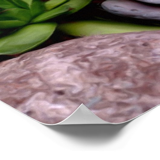 かわいい花の庭カエルの写真絵画ズ ポスター (角)