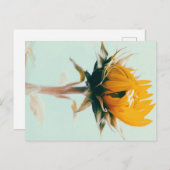 かわいい花ひまわりアート 案内ポストカード (正面/裏面)