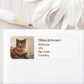 かわいい若いタビーキャットキッテン子猫ペット ラベル (インサイチュ)