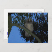 かわいい若いフクロウDIYはがき シーズンポストカード (正面/裏面)