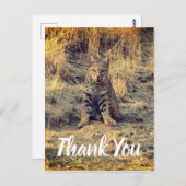 かわいい若いボバキャットありがとう ポストカード (正面/裏面)