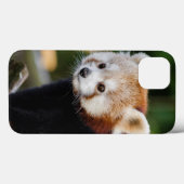 かわいい若いレッサーパンダ Case-Mate iPhoneケース (裏面 (横))