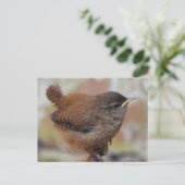 かわいい若い女性のクローズアップ ポストカード (スタンド正面)