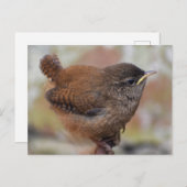 かわいい若い女性のクローズアップ ポストカード (正面/裏面)