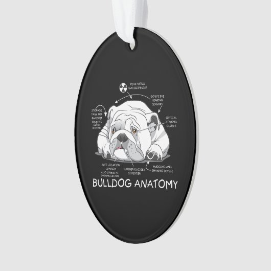 かわいい英おもしろい語のブルドッグ解剖の犬の生物学 オーナメント (正面)
