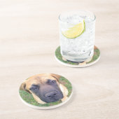 かわいい英国のマスティフの子犬のクローズアップの写真 コースター (側面)