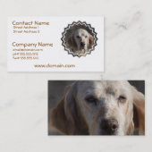 かわいい英国セッターの名刺 名刺 (正面/裏面)