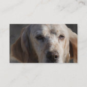 かわいい英国セッターの名刺 名刺 (裏面)