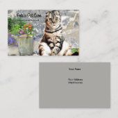 かわいい英国猫のカスタムな名刺 名刺 (正面/裏面)