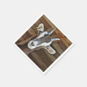 かわいい茶色と白いヤギの写真 スタンダードカクテルナプキン (角)