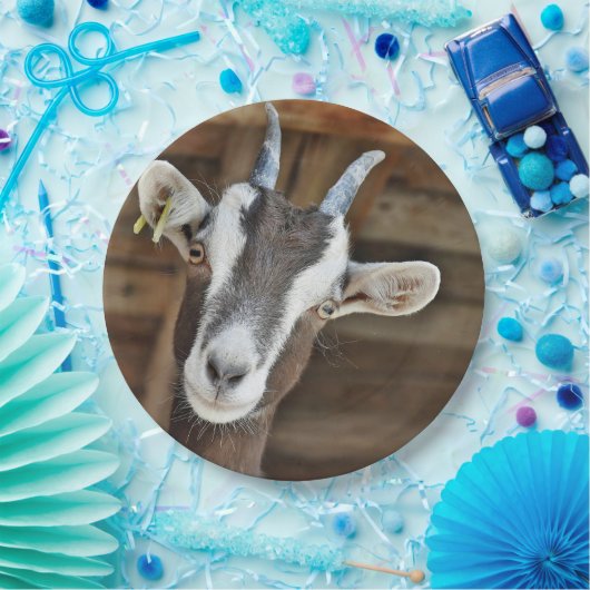 かわいい茶色と白いヤギの写真 ペーパープレート (パーティー)