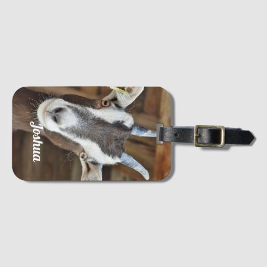 かわいい茶色と白いヤギの写真 ラゲッジタグ (正面横)