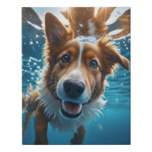 かわいい茶色と白い犬が水中