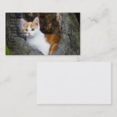 かわいい茶色と白の子猫の名刺 名刺 (正面/裏面)