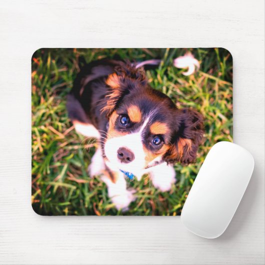 かわいい茶色と白の怒った子犬 マウスパッド (マウス)
